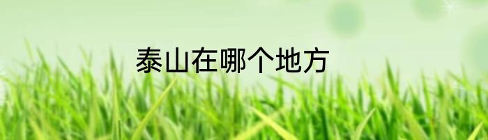 泰山在哪个地方