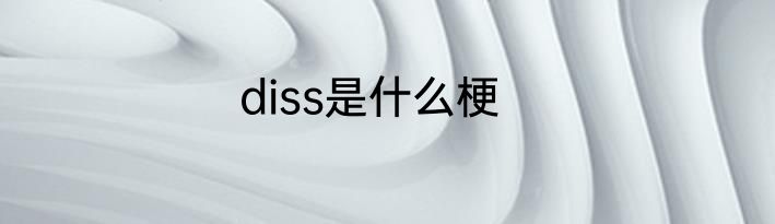 diss是什么梗