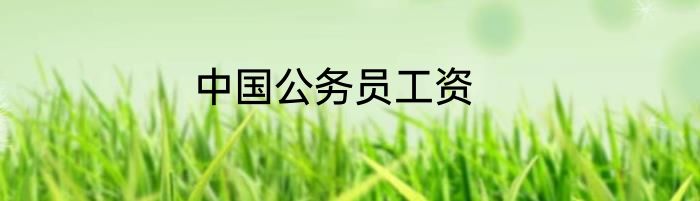 中国公务员工资