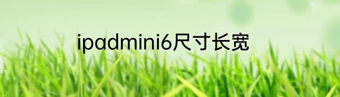 ipadmini6尺寸长宽