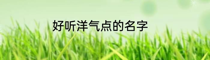 好听洋气点的名字