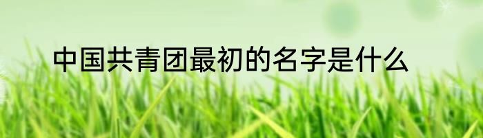 中国共青团最初的名字是什么