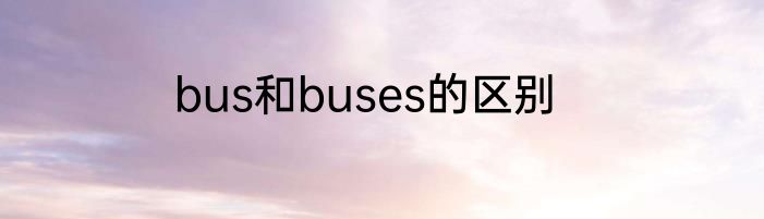 bus和buses的区别