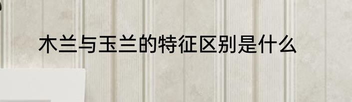 木兰与玉兰的特征区别是什么