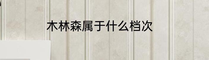 木林森属于什么档次