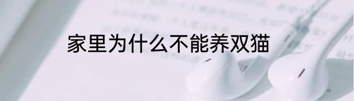 家里为什么不能养双猫