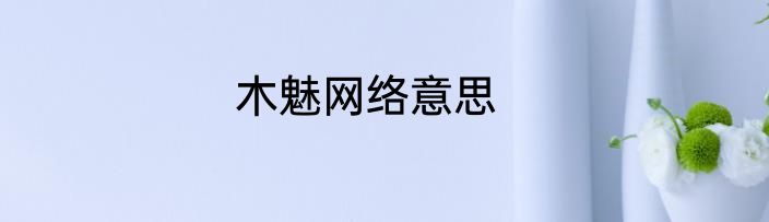 木魅网络意思