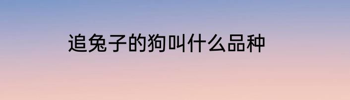 追兔子的狗叫什么品种