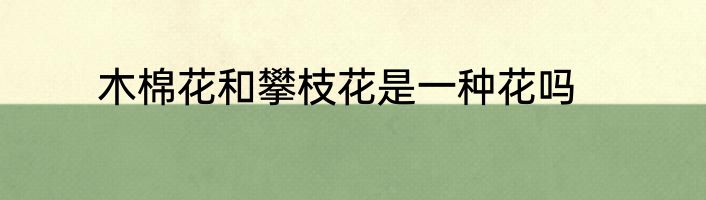 木棉花和攀枝花是一种花吗
