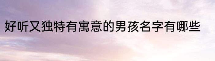 好听又独特有寓意的男孩名字有哪些