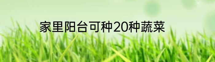 家里阳台可种20种蔬菜
