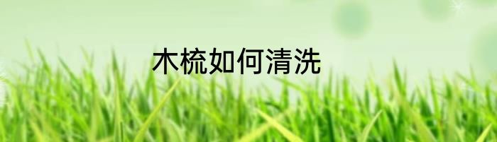 木梳如何清洗