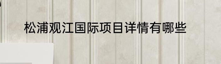 松浦观江国际项目详情有哪些