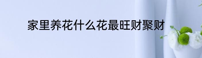家里养花什么花最旺财聚财
