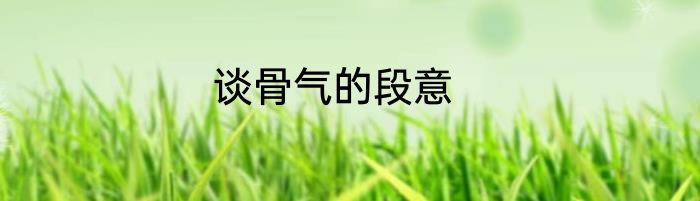 谈骨气的段意