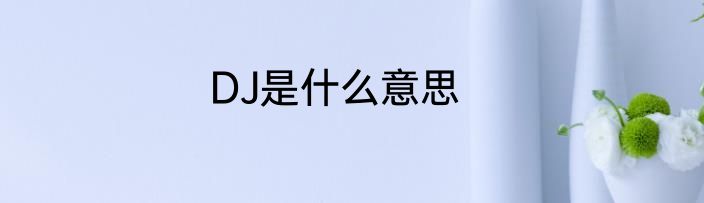 DJ是什么意思