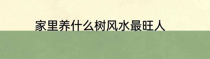 家里养什么树风水最旺人