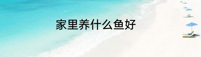 家里养什么鱼好