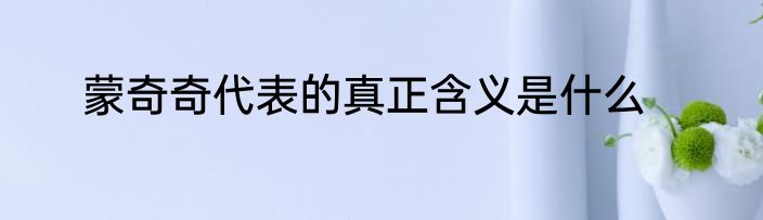 蒙奇奇代表的真正含义是什么