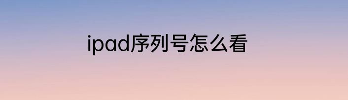ipad序列号怎么看