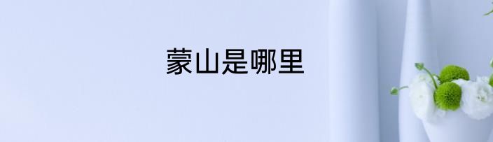 蒙山是哪里