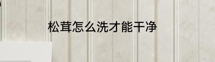 松茸怎么洗才能干净