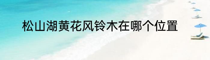 松山湖黄花风铃木在哪个位置