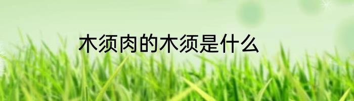 木须肉的木须是什么