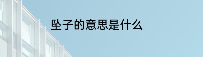 坠子的意思是什么