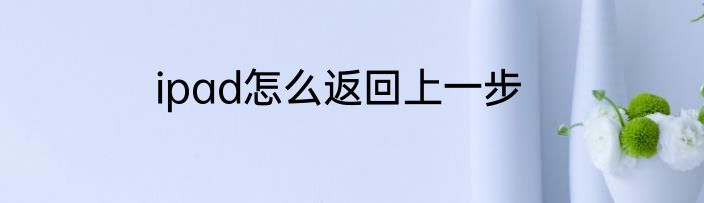 ipad怎么返回上一步