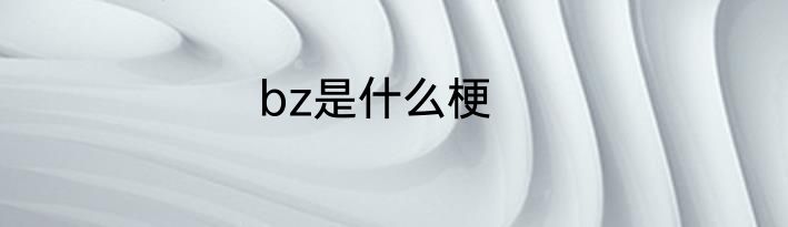bz是什么梗