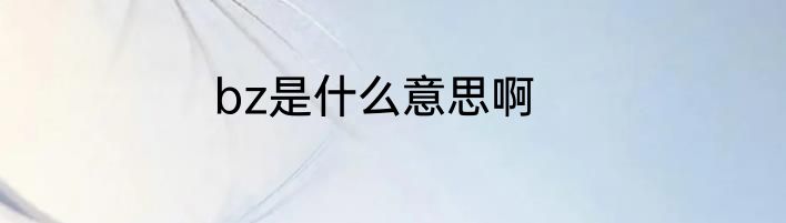 bz是什么意思啊