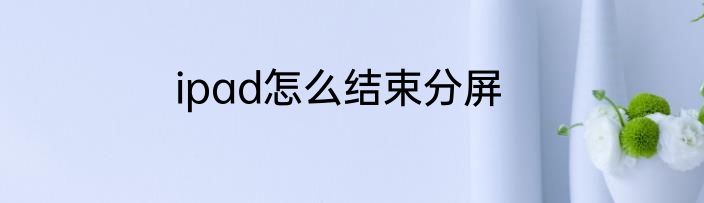 ipad怎么结束分屏