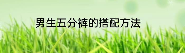 男生五分裤的搭配方法