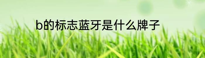 b的标志蓝牙是什么牌子
