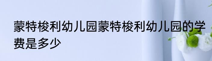蒙特梭利幼儿园蒙特梭利幼儿园的学费是多少