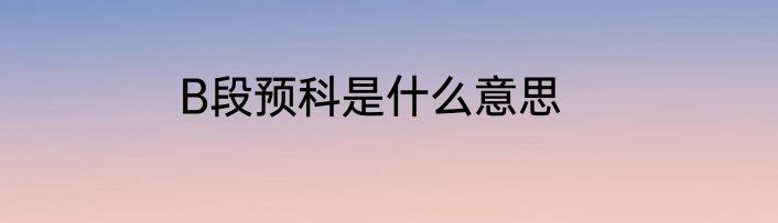 B段预科是什么意思
