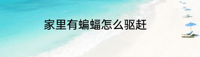 家里有蝙蝠怎么驱赶