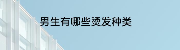 男生有哪些烫发种类