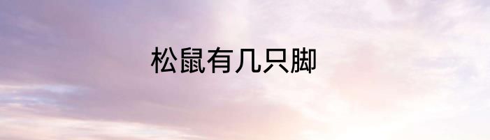 松鼠有几只脚