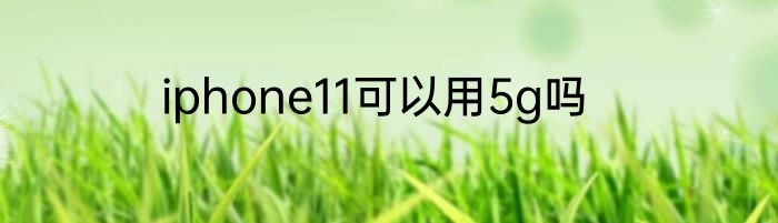 iphone11可以用5g吗