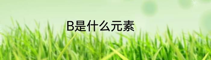 B是什么元素