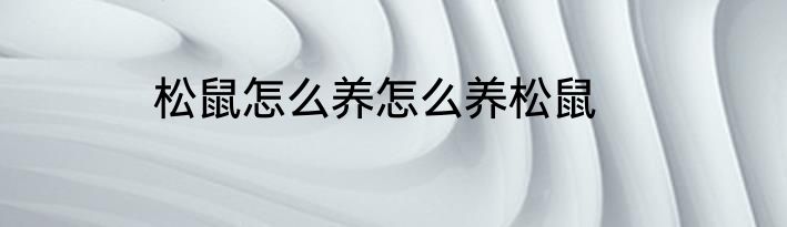 松鼠怎么养怎么养松鼠