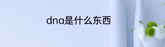 dna是什么东西