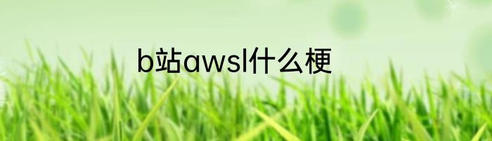 b站awsl什么梗