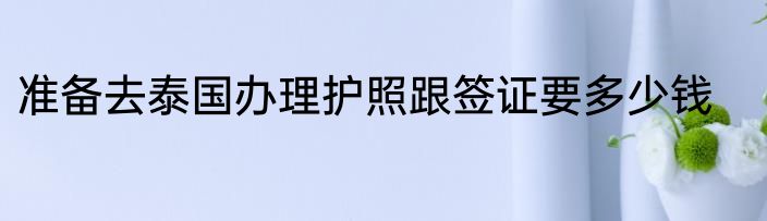 准备去泰国办理护照跟签证要多少钱