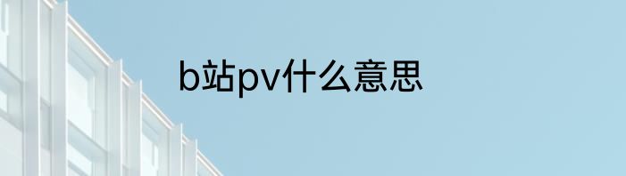 b站pv什么意思