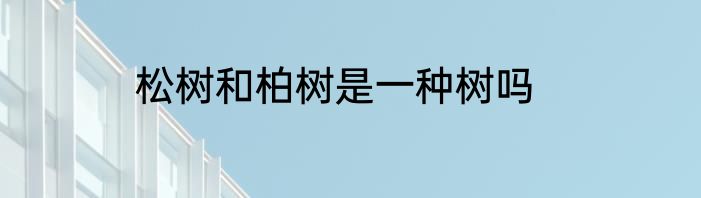 松树和柏树是一种树吗