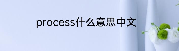 process什么意思中文