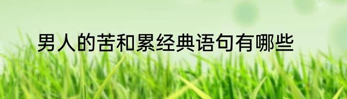 男人的苦和累经典语句有哪些